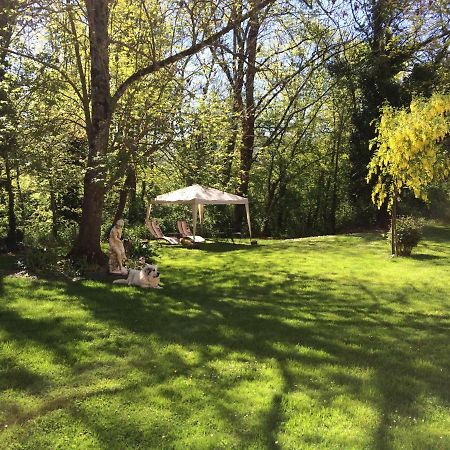 Domaine Du Val De Soux Bed and Breakfast Montgaillard-de-Salies Εξωτερικό φωτογραφία